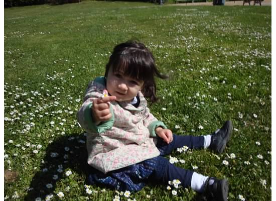 julia-Toddler on grass offering flower