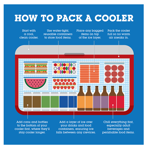 Tips for Packing a Cooler for the Family Road Trip - UrbanSitter