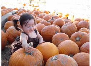 julia-Baby with Pumpkins (Halloween)