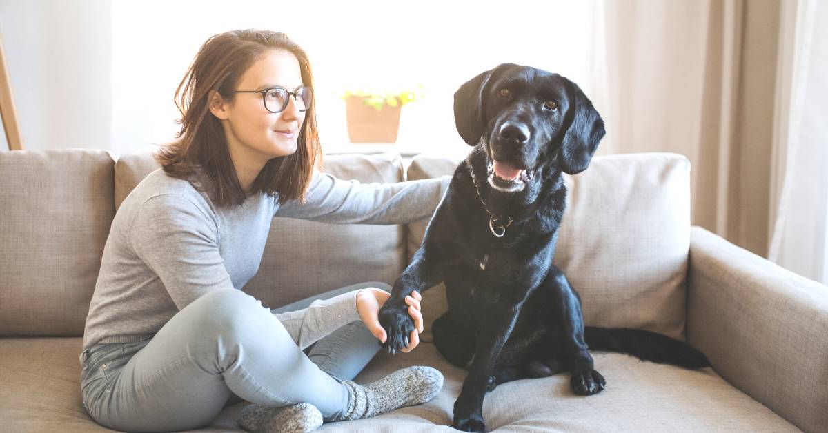 Pet Sitting Jobs at UrbanSitter