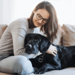 dog sitter with labrador retriever dog