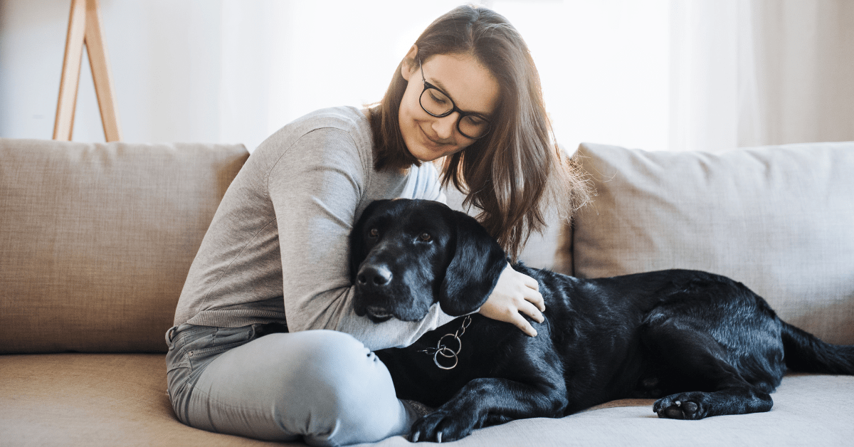 dog sitter with labrador retriever dog