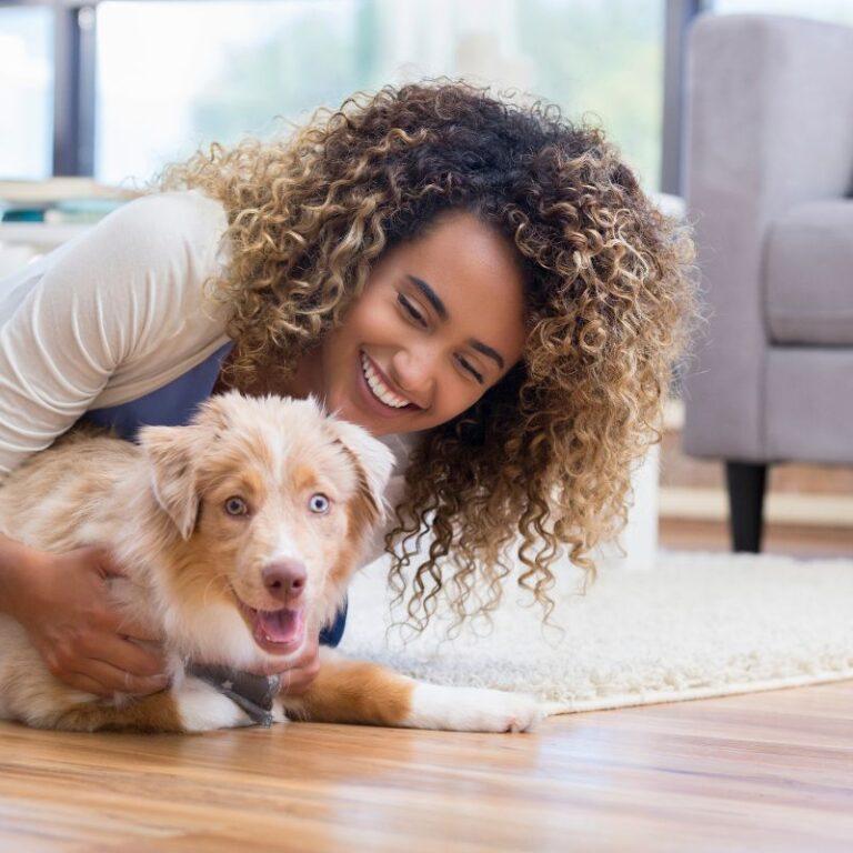 How to Find Dog Sitting Jobs Near Me UrbanSitter