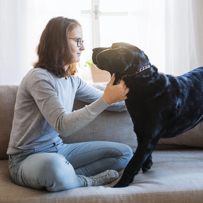 How To Find Dog Sitting Jobs Near Me UrbanSitter
